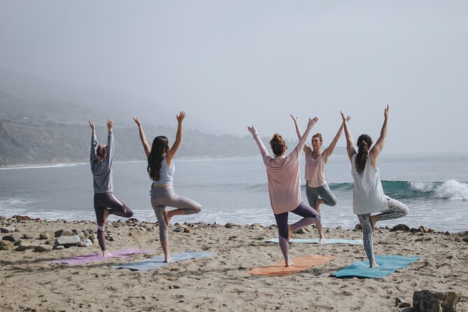 Lezioni di Surf per Beginner e Intermedi (6 persone a istruttore) - What You Get Included, and Why That Changes the Value