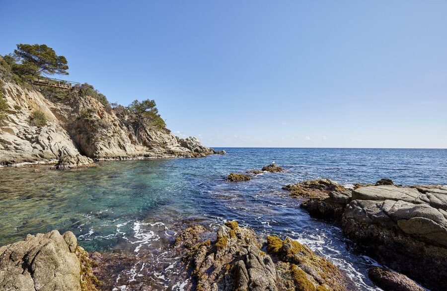 Lloret de Mar: Costa Brava Kayak Tour and Swimming - The Pre-Paddle Briefing, Safety and Navigation First