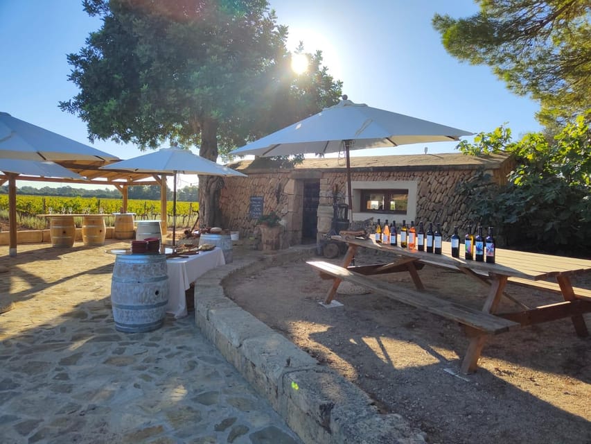 Llucmajor: Bodegas Bordoy Wine Tour - The Five-Wine Tasting, Explained in Plain Language