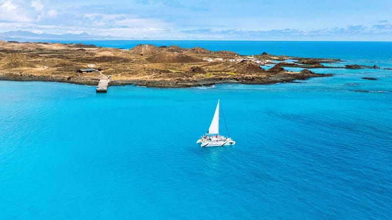 Lobos Island: 4-Hour Catamaran Trip with Lunch - Lunch and unlimited cold drinks: paella that feels like a real meal
