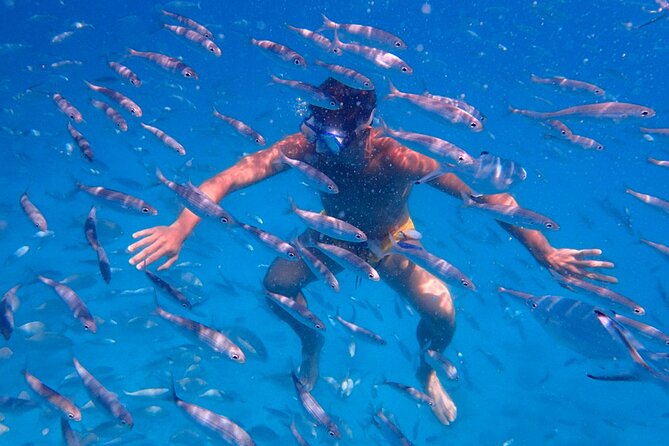 Lobos Island Ferry with Snorkel from Corralejo, Fuerteventura - The snorkeling part: what you actually get for 25 minutes