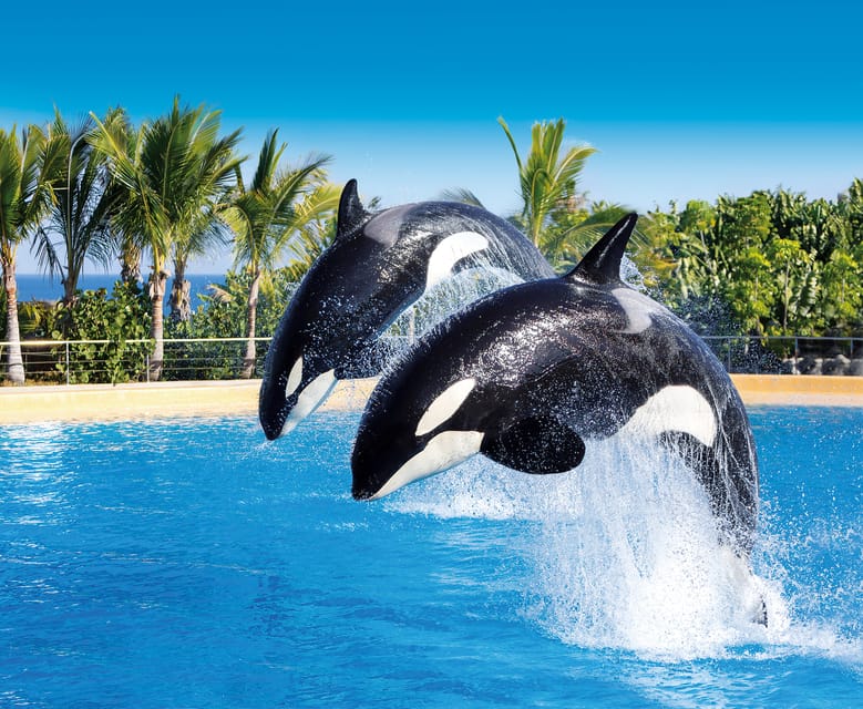 Loro Parque and Siam Park Combined Admission Tickets - What This Combo Ticket Really Gets You (And Why It Feels Worth It)