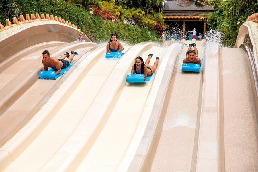Loro Parque and Siam Park Combined Admission Tickets - How the 14-Day Twin Ticket Works Between Parks