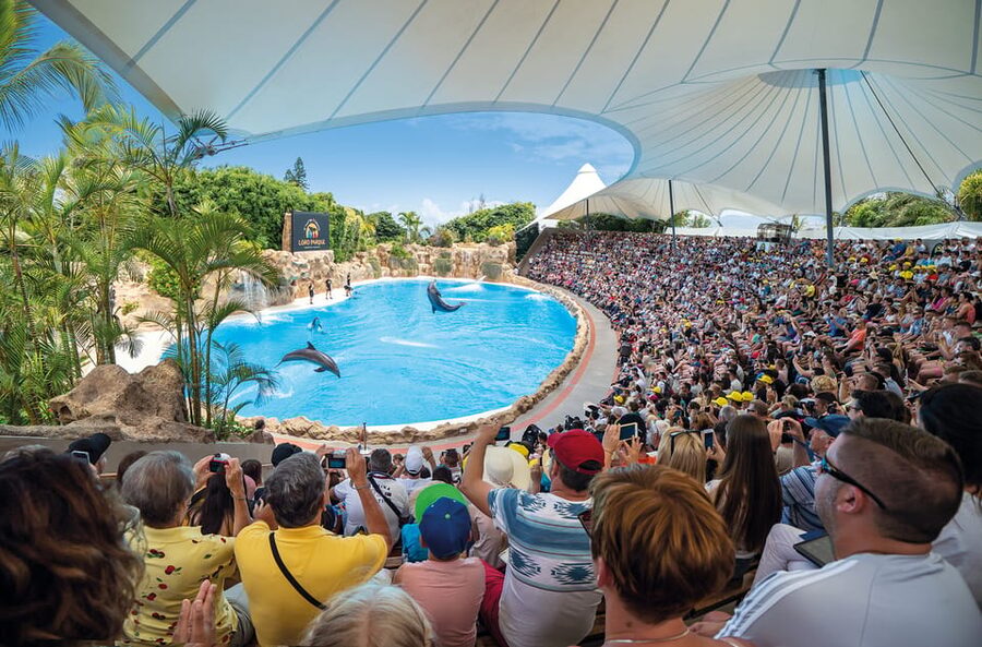 Loro Parque and Siam Park Combined Admission Tickets - Queues, Show Timing, and a Simple Plan That Actually Works