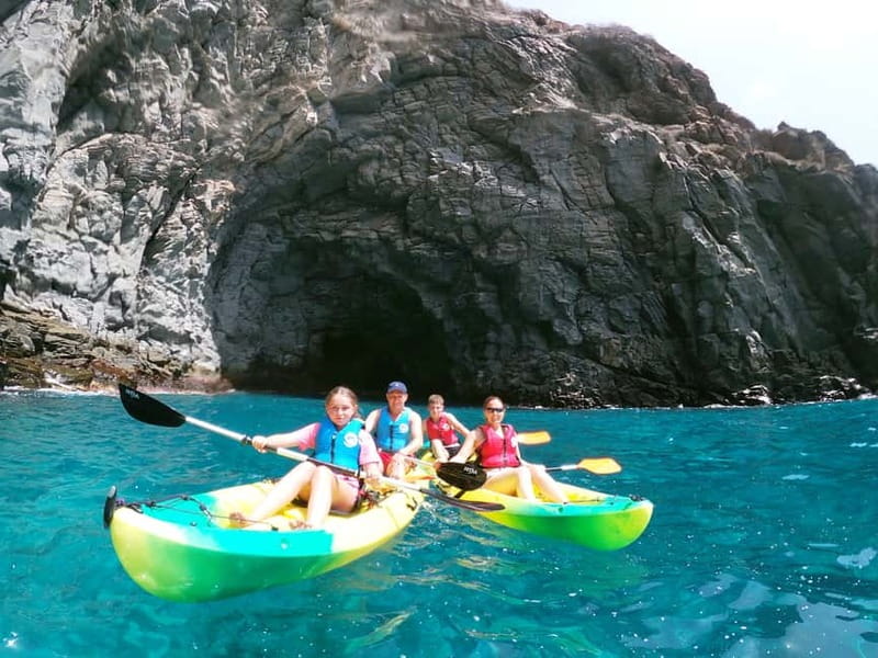 Los Cristianos: Kayak and Snorkel with Turtles and Photos - Dolphin searching on the way back, plus red crabs and surprise sightings