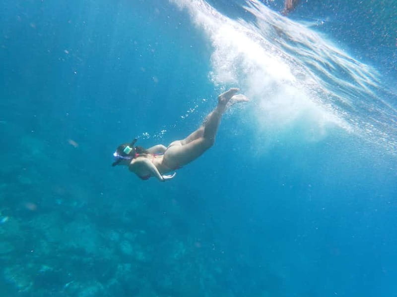 Los Cristianos: Kayak and Snorkel with Turtles and Photos - Animal sightings and weather reality, plus how cancellation works