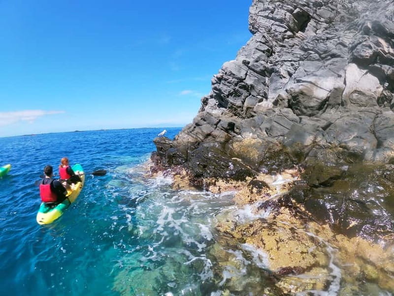 Los Cristianos: Kayak and Snorkel with Turtles and Photos - Who this kayak and snorkel trip is best for, and who should skip it