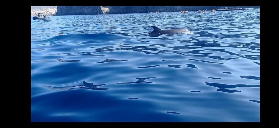 Los Cristianos: Kayak & Snorkel Tour with turtles and photos included - Key highlights worth your attention