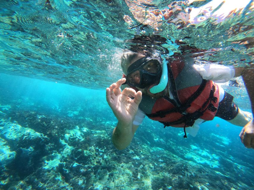 Los Cristianos: Kayaking and Snorkeling with Marine Wildlife - Palm-Mar snorkeling stop: marine wildlife odds and how to enjoy it