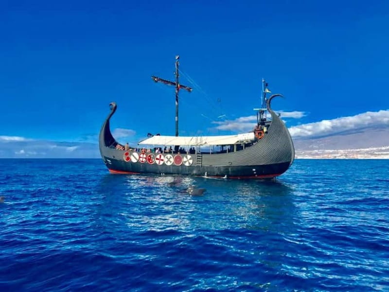 Los Cristianos: Viking Cruise Whales & Dolphins Watching - The 2-hour wildlife search off Tenerife’s south coast