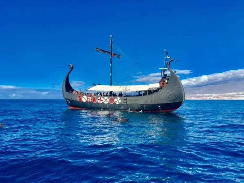 Los Cristianos: Whale Watching Cruise w/Swim Stop & Drinks - The south-coast cruise past Playa de Las Américas and Adeje