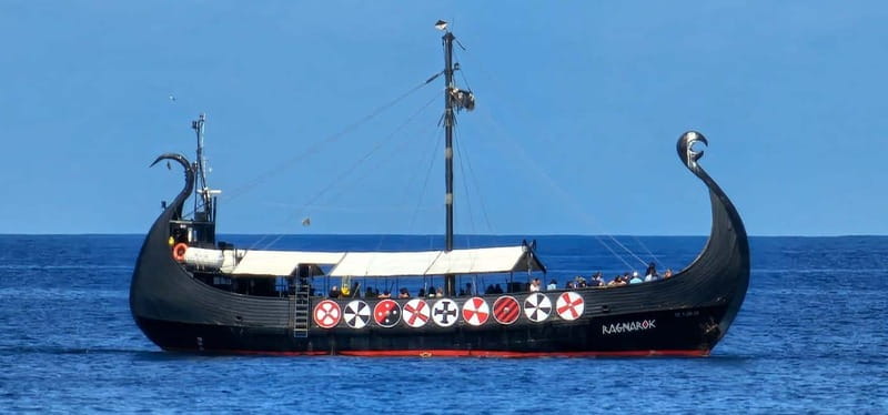 Los Cristianos: Whale Watching Cruise w/Swim Stop & Drinks - What to bring for the Atlantic swim and sun