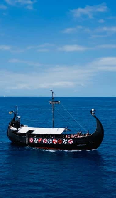 Los Cristianos: Whale Watching Cruise w/Swim Stop & Drinks - Who should book this cruise, and who should skip it