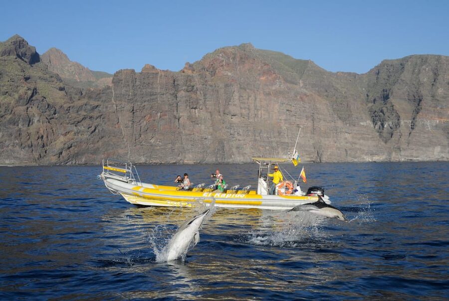 Los Gigantes: Dolphin and Whale Watching Cruise by Speedboat - Speedboat to Teno-Rasca: Why the Route Works