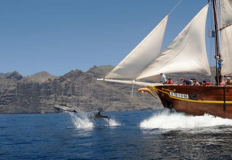 Los Gigantes: Dolphin and Whale Watching Tour with Drinks - Key Things I’d Mark on Your Map