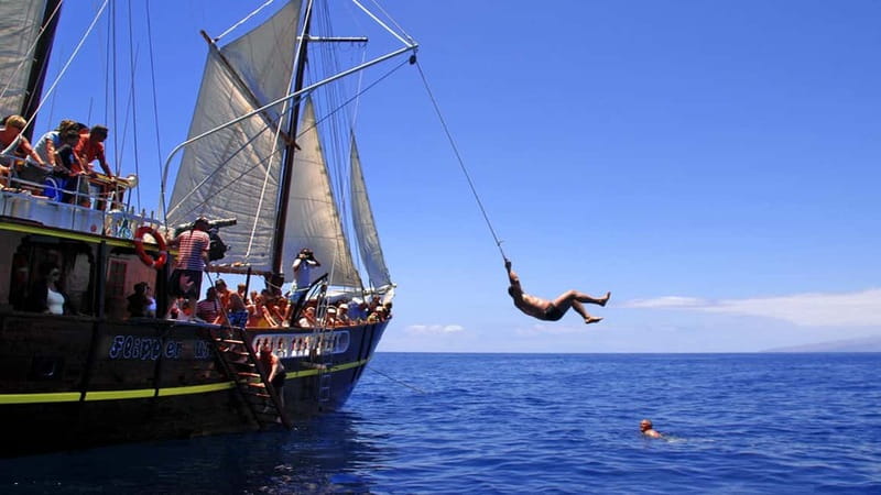 Los Gigantes: Dolphin and Whale Watching Tour with Drinks - Paella Lunch, Unlimited Drinks, and Canarian Schnapps on Board