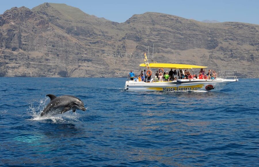 Los Gigantes: Dolphin & Whale Watching Cruise with Swim Stop - Los Gigantes and Teno-Rasca: why this start point works