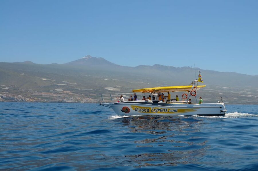 Los Gigantes: Dolphin & Whale Watching Cruise with Swim Stop - How the Los Gigantes and Masca cliff views shape the trip