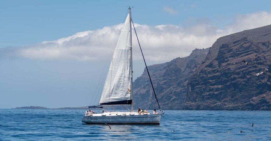 Los Gigantes: Sailing Excursion with Swimming, Drink & Tapas - Key Points Worth Knowing Before You Go