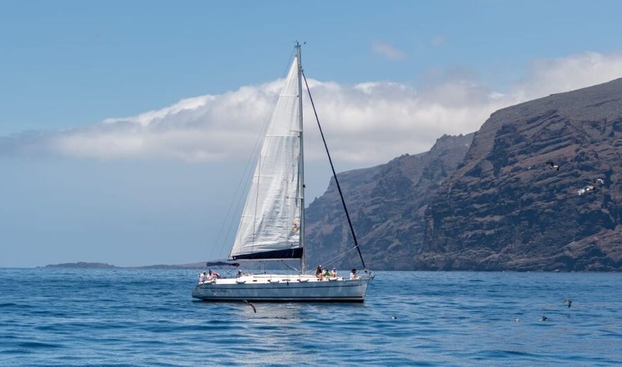 Los Gigantes: Sailing Excursion with Swimming, Drink & Tapas - Los Gigantes Cliffs and the Coast Between Bays and Coves