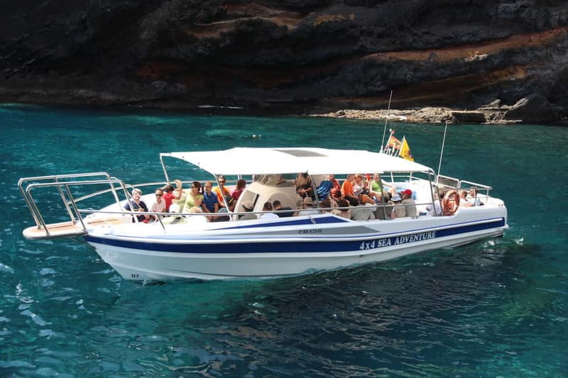 Los Gigantes: Whale or dolphin watching and swimming tour in Masca - Los Gigantes to Masca Bay: The Two-Hour Plan That Feels Just Right