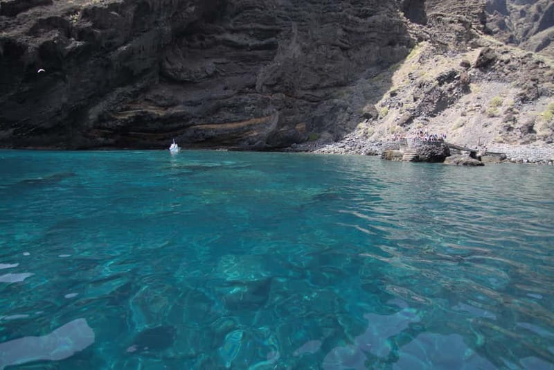 Los Gigantes: Whale or dolphin watching and swimming tour in Masca - When the Animals Are Close: How Sightings Feel From the Boat