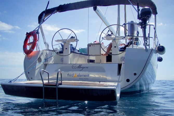 Los Gigantes Whale Watching Charter by Sail Boat - What’s included, what’s not, and how the diet options work