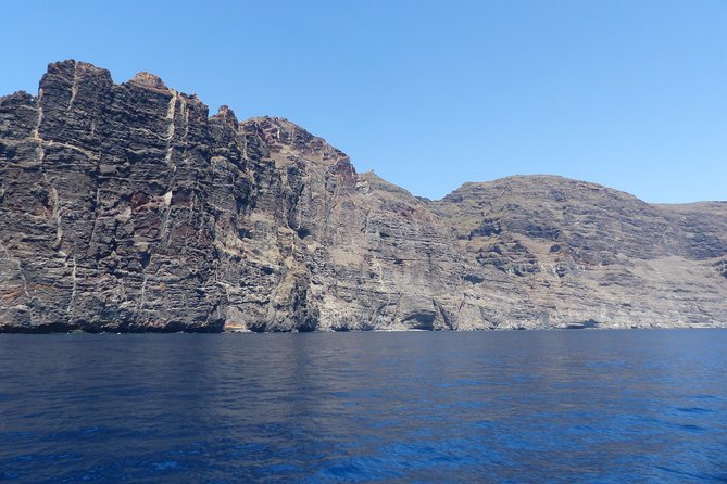 Los Gigantes Whale Watching Charter by Sail Boat - Who should book this Los Gigantes whale watching charter