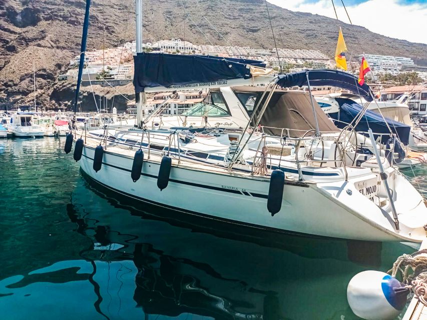 Los Gigantes: Whales and Dolphin Watching Cruise with Lunch - Lunch and Drinks Onboard: Simple, Filling, and Timed Well
