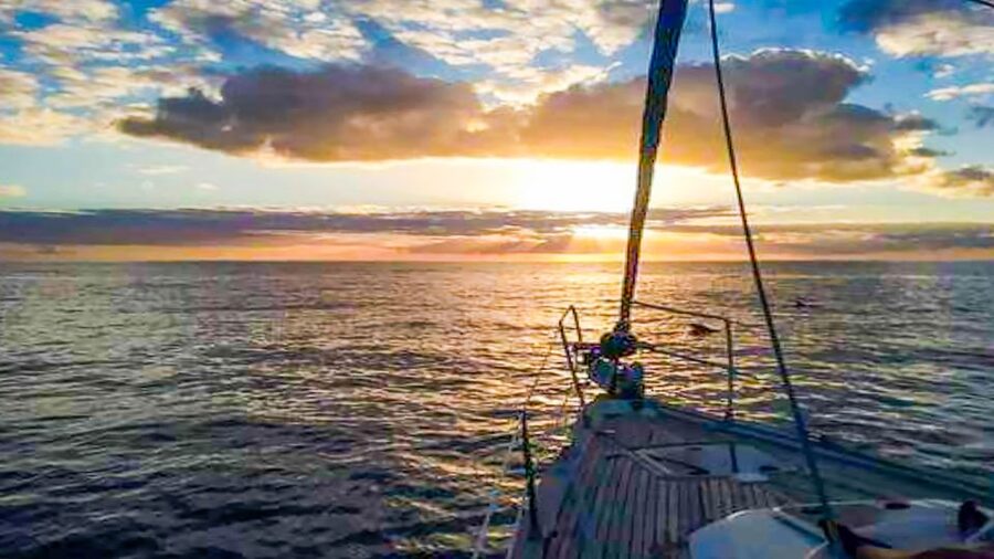 Los Gigantes: Whales and Dolphin Watching Cruise with Lunch - Sunset Option: When the Cliffs Turn Cinematic
