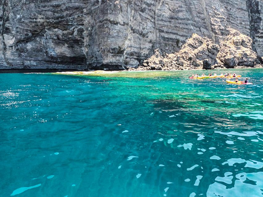 Los Gigantes: Whales and Dolphin Watching Cruise with Lunch - What You Might See, and How to Watch Better