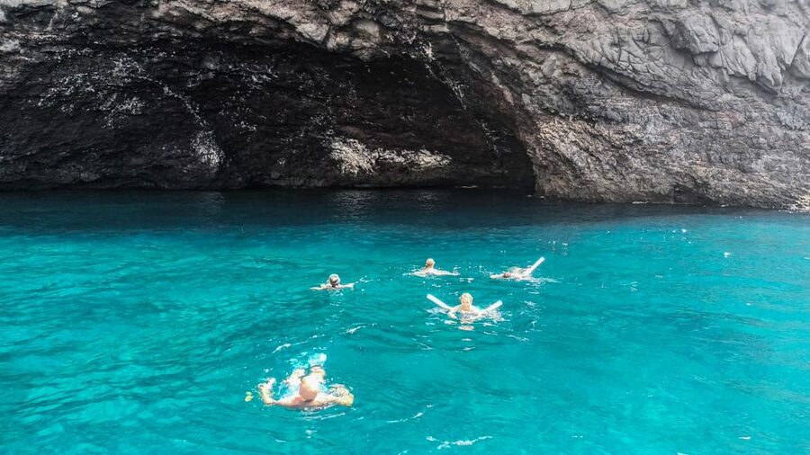 Los Gigantes: Whales and Dolphin Watching Cruise with Lunch - Who This 3-Hour Whale and Dolphin Cruise Works Best For