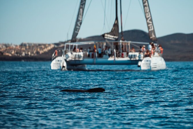 Luxury Catamaran Cruise with Brunch and Unlimited Drinks - Unlimited drinks and Balinese beds: comfort with a small catch