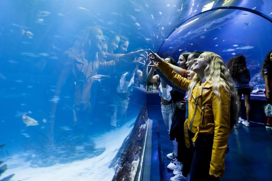 Madrid: Atlantis Aquarium Entry Ticket - Key highlights you should care about