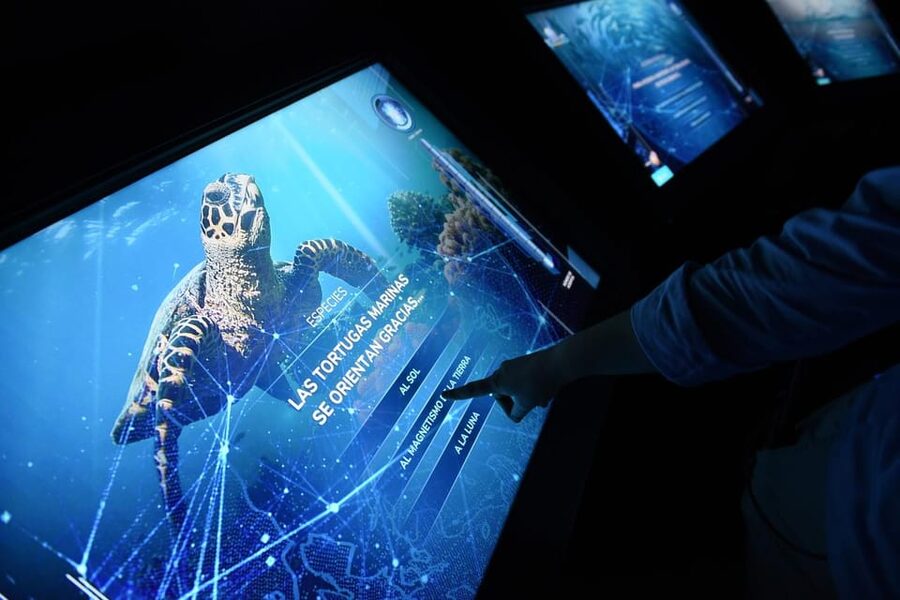 Madrid: Atlantis Aquarium Entry Ticket - Who should book this aquarium ticket?