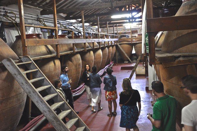 Madrid Countryside Wineries Guided Tour with Wine Tasting - Key highlights to know before you go