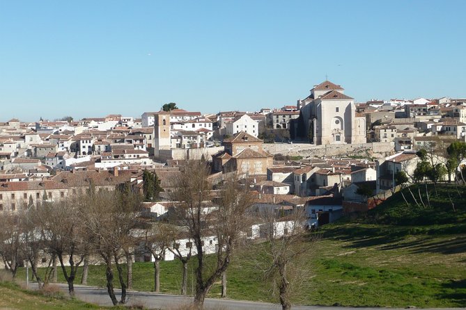 Madrid Countryside Wineries Guided Tour with Wine Tasting - The Vinos de Madrid DO angle, what it means for your glass