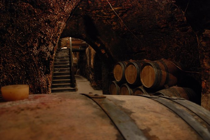 Madrid Countryside Wineries Guided Tour with Wine Tasting - Stop 3, Bodegas Jesús Díaz e Hijos and clay jars with cave cellars