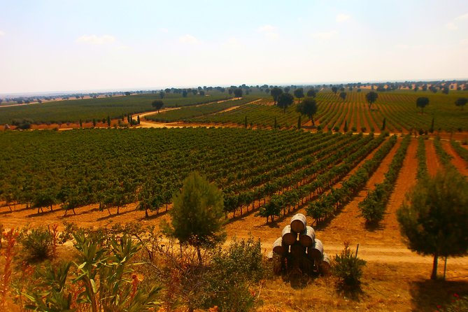 Madrid Countryside Wineries Guided Tour with Wine Tasting - Guides, pacing, and what small groups change