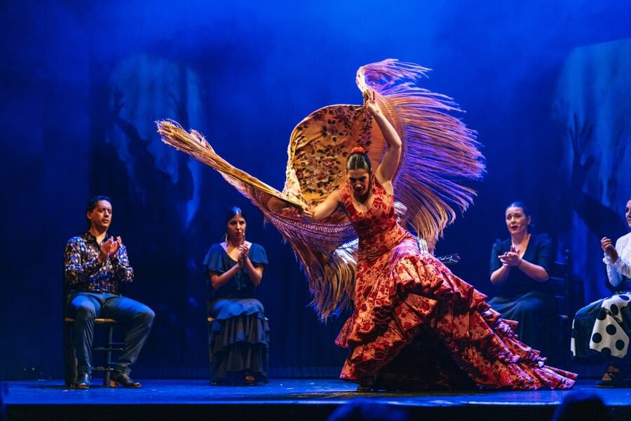 Madrid: "Emociones" Live Flamenco Performance - Who should book, and who should reconsider