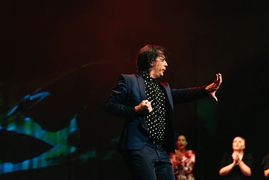 Madrid: "Emociones" Live Flamenco Performance - What the Emociones show is actually like