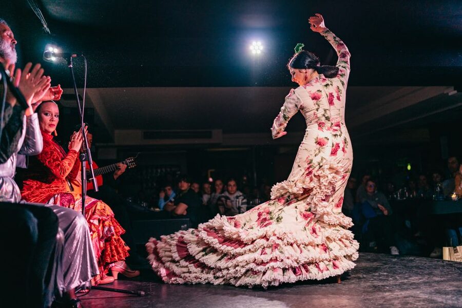 Madrid: Flamenco Show at Tablao Las Carboneras - Where Plaza del Conde de Miranda Fits Into Your Night