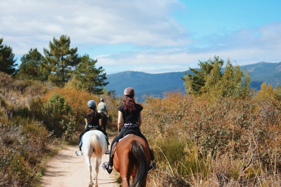 Madrid: Horse Riding in Sierra del Guadarrama National Park - Good reasons this Guadarrama horse ride is worth your time