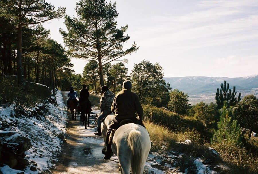 Madrid: Horse Riding in Sierra del Guadarrama National Park - Landmarks you might spot: El Escorial, La Granja, and Segovia