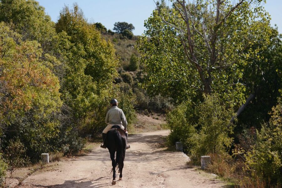 Madrid: Horse Riding in Sierra del Guadarrama National Park - Price and value: $88 for 2.5 hours close to Madrid