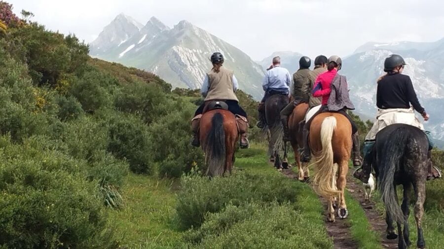 Madrid: Horse Riding in Sierra del Guadarrama National Park - Meeting at C. de las Pozas, 1, then it’s short transfer time