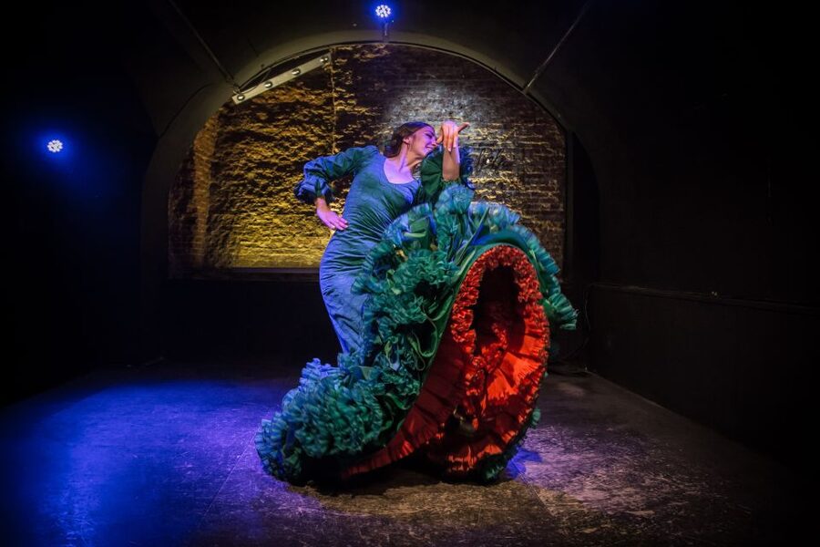 Madrid: La Cueva de Lola Flamenco Show Tickets with Drink - Who should book this Madrid flamenco show
