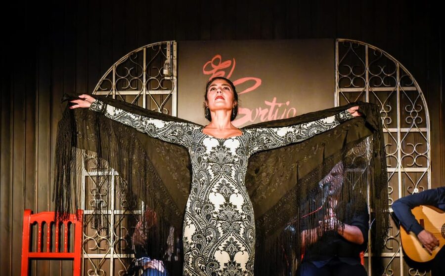Madrid: Local Flamenco Show at El Cortijo - Who this flamenco show is best for