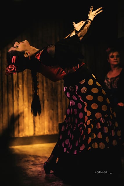 Madrid: Local Flamenco Show at El Cortijo - Price and value: what your $22 ticket really covers