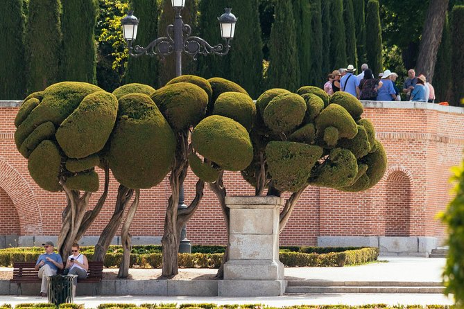Madrid Prado Museum & City PRIVATE TOUR with Ticket Included - Audio set and no-photo rules, a small combo that changes how you see